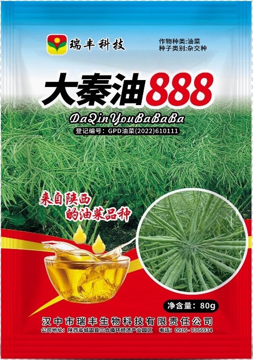 大秦油888